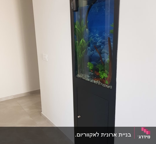אקווריום מובנה בקיר עם דלת תחתונה